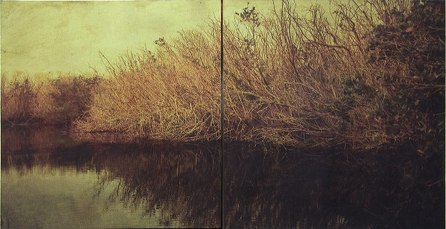Backwater
UV cured flatbed print on Dibond brushed aluminum, diptych24x48x2