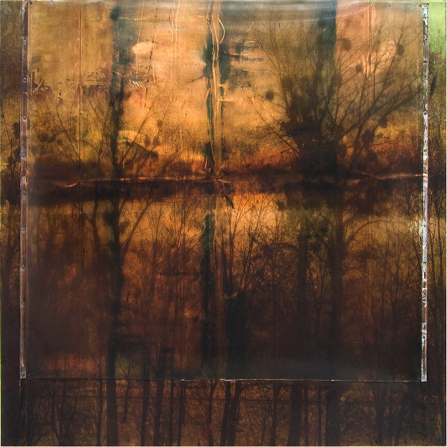 Tarnished Trees
Pigment print on film over copper nailed to wood36x36x2