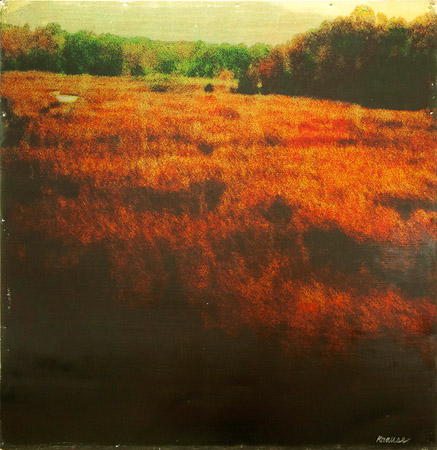 Field of Crimson24" x 24", pigment transfer with mixed media on aluminum