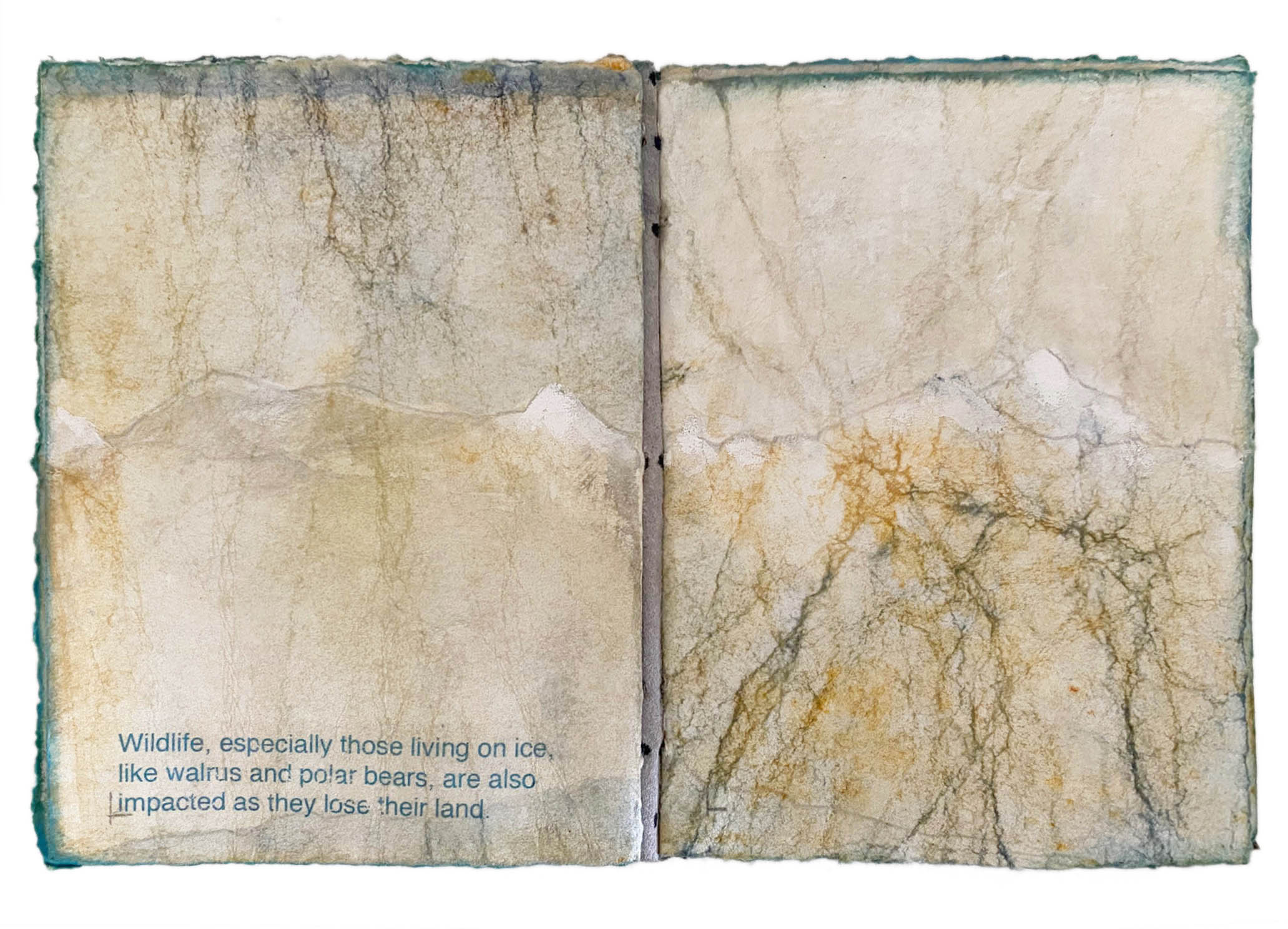 Glaciers Melt
I took to Alaska a small journal, 5” x 4” with 24 pages. The cover was made from eco printed leather over stiff paper. The top and bottom of the wrinkled pages had been dipped in either indigo or rust, creating an irregular horizon line. During the trip I drew and painted the mountains with graphite, water color, white gouache and chalk. The text throughout the book reads: Glaciers Melt Glaciers are giant rivers of ice formed over centuries as fallen snow is compressed into layers of ice. They flow out to sea as ice shelves where pieces break off, or calve, to form icebergs. Today, about 10% of land area on Earth is covered with glacial ice. 90% is in Antarctica and 10% is in the Greenland ice cap. Glaciers now lose up to 390 billion tons of ice and snow per year. The largest regional losses are in Alaska, followed by the Southern Andes and the Arctic. Seventy five billion tons of ice from Alaskan glaciers are being lost each year and 95% of the oldest and thickest ice in the Arctic is already gone. If emissions continue to rise unchecked, the Arctic could be ice free in the summer by 2040 and melting on Greenland would double by the end of the century. By that time, ICCP projects that sea level will rise between 4 and 35”. At the high end, it would be an unmitigated disaster. As glaciers melt and oceans warm, ocean currents will continue to disrupt weather patterns. Where and when fish spawn will continue to change and some fishing industries will fail. Wildlife, especially those living on ice, like walrus and polar bears, are also impacted as they lose their land. As storms become more intense, coastal flooding will become more frequent and communities will continue to be displaced and face billion-dollar disaster recovery bills. Addressing the causes of warming ocean and air temperatures are our only hope for slowing or reversing the glacial melt. Intergovernmental Panel on Climate Change Dorothy Simpson Krause, 2019