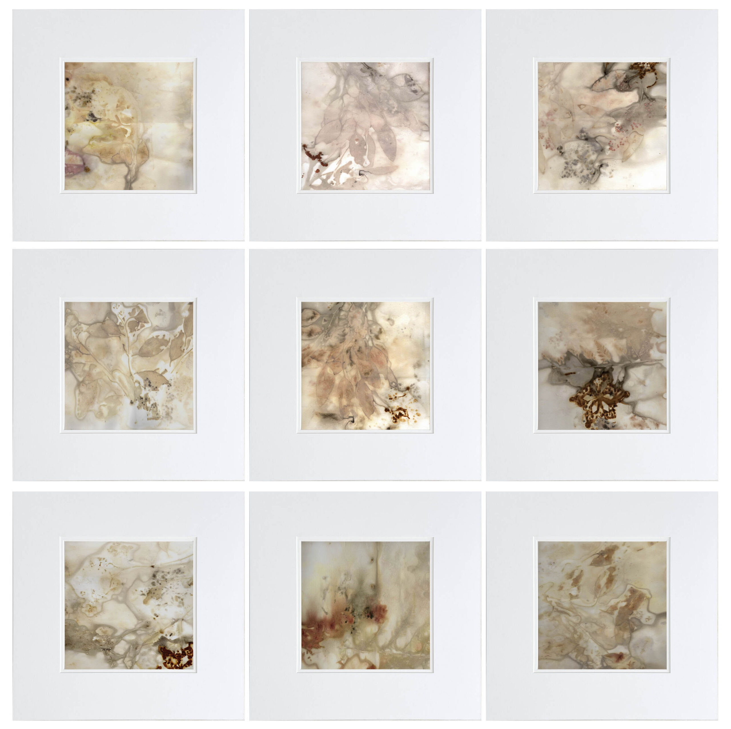 Nine 12″ x 12″ eco prints.